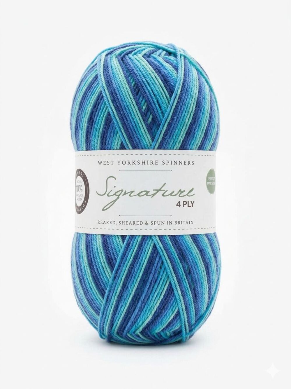 West Yorkshire Spinners Signature 4 Ply Wool/Nylon Blend Yarn, Blue Lagoon
